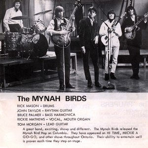 Mynah birds late 1965