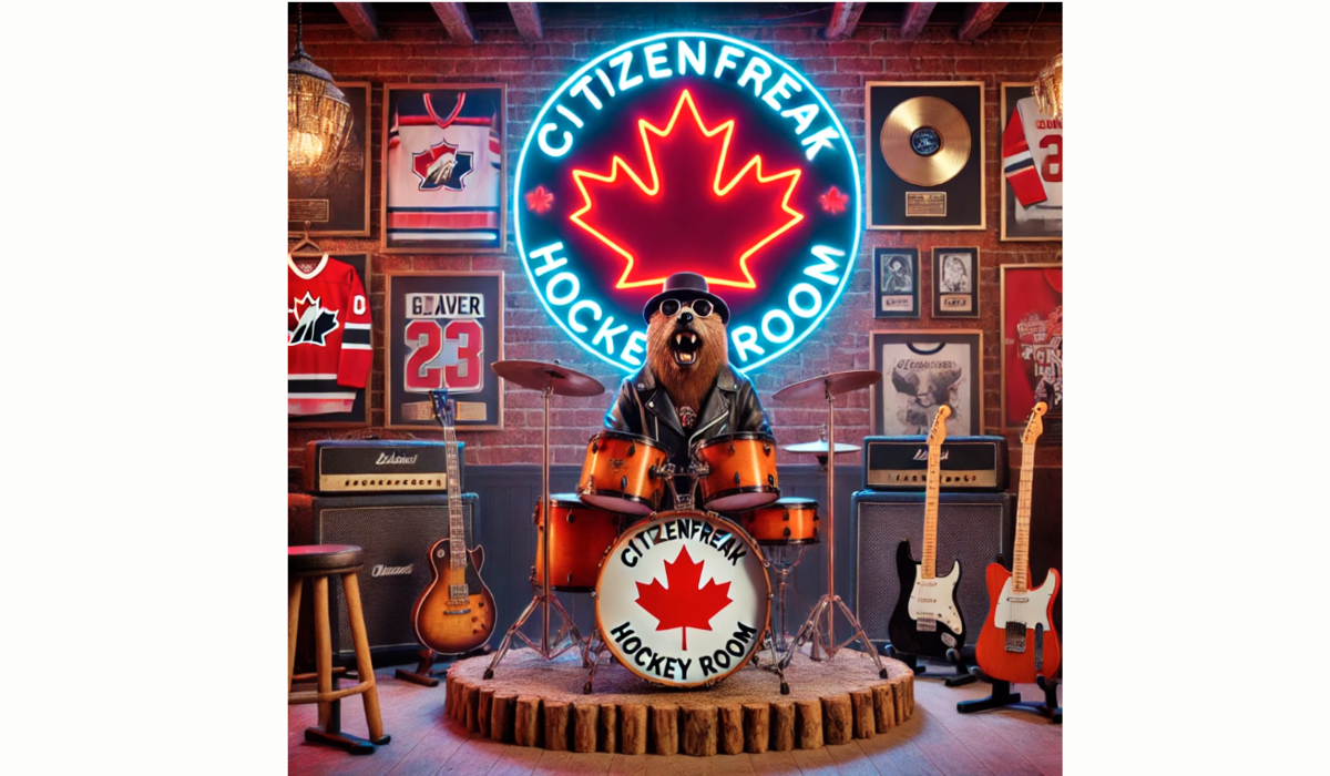 Hockey room caroussell safe 001