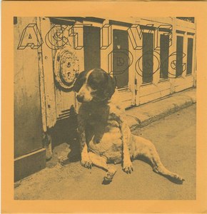 45 active dog pic sleeve