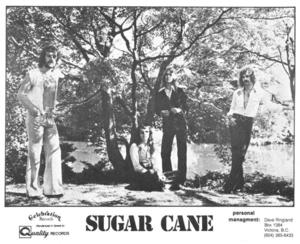 Sugar cane 2 promo pic