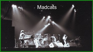 Madcats live