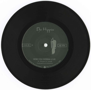 45 the hippies how you gonna live vinyl 02