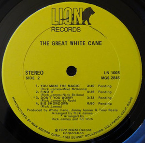 Great white cane   the great white cane vinyl 01