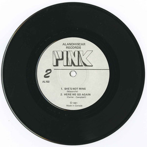Pink steel   a taste of pink steel vinyl 01