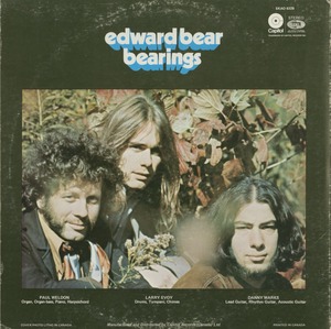 Edward bear   bearings back