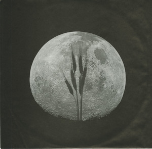 Neil young harvest moon insert side 02