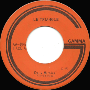 Triangle  le   2 miroirs bw les montagnes russes %282%29