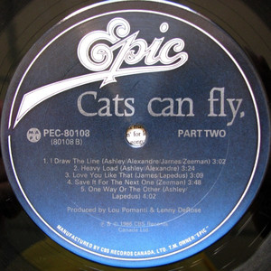 Cats can fly   st %281%29