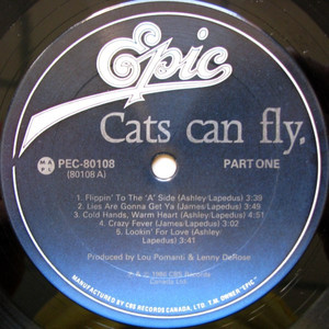 Cats can fly   st %282%29