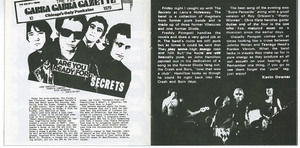 Cd secrets   teenage rampage booklet pages 5 6