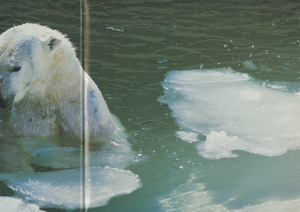 Va inuit traditional songs and games inside gatefold 02