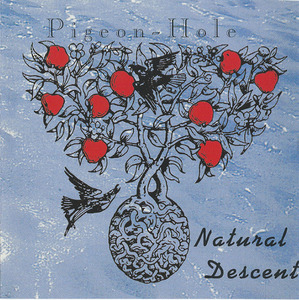 Cd pigeon hole   natural descent front