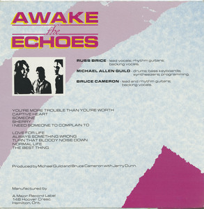 Awake the echoes   normal life back