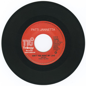 45 patti jannetta   rules of love bw don't you want my love vinyl 02