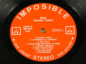 Bum   shake town %281%29