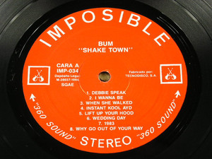 Bum   shake town %282%29