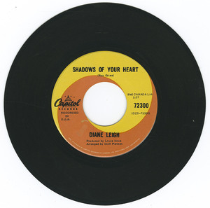 45 diane leigh   woman and man vinyyl 02