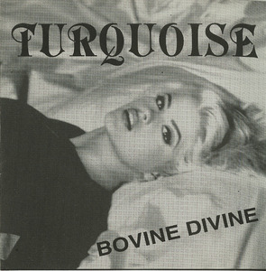 Cd turquoise   bovine divine front