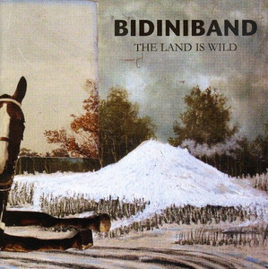 Bidiniband %e2%80%93 the land is wild