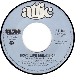 Fludd hows life breaking attic b viii