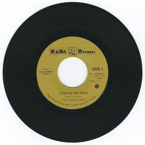 45 chosen ones   song in the wind vinyl 01