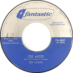 Les loups ces mots fantastic bi
