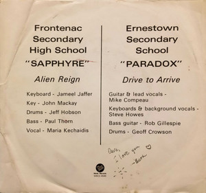 Paradox %283%29   s.a.d.d. facts on hot tracks