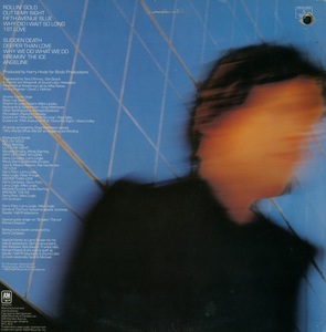 Pringle peter fifth avenue blue 1982 dos