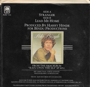Peter pringle lead me home am