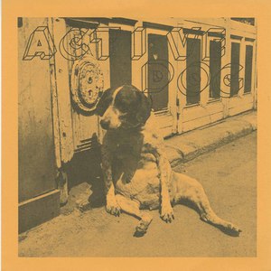 45 active dog pic sleeve