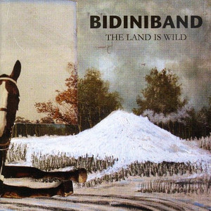 Bidiniband %e2%80%93 the land is wild