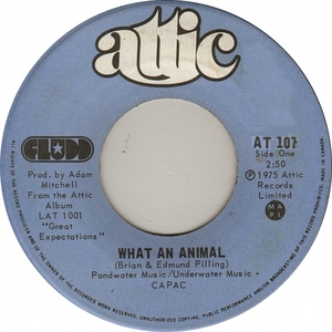 Fludd what an animal attic a xii