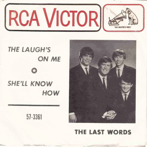 The last words the laughs on me pic sleeve front