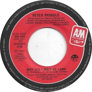 Peter pringle why did i wait so long am a