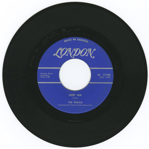 45 regals   deep sea bw stranger vinyl 02