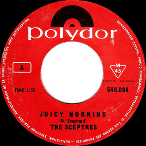 The sceptres montreal juicy morning polydor