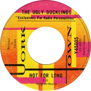 The ugly ducklings not for long 1967 a