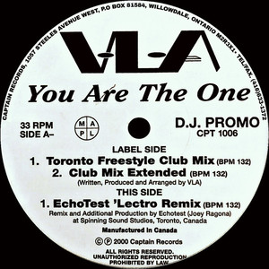 Vla %28vincent v.%29   you are the one %283%29