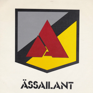 Assailant picture sleeve squared