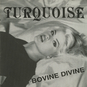 Cd turquoise   bovine divine front