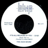 It's All Because of You b/w Benjamin James - Just a Guitar Man