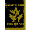 Burn The Flag (demo)