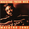Maestro Zone