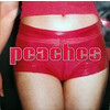 The Teaches of Peaches