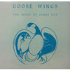 Goose Wings: The Music Of James Bay