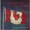 Scarlet Leaf Of Canada