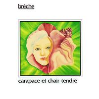 Carapace et chair tendre