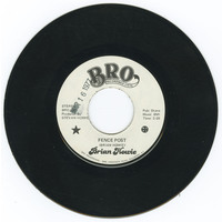 Fence Post b/w Why's of Loving Her