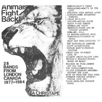 Animals Fight Back! 25 Bands From London Canada 1977-1984