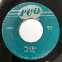 Jungle Beat b/w Rainbow